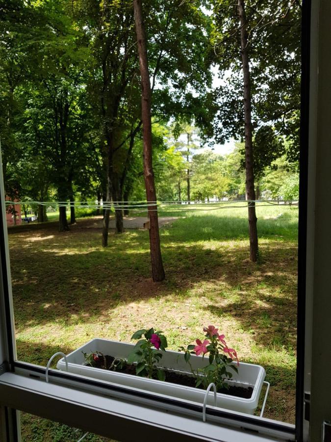 Park, Tc Stadion Vozdovac Belgrado